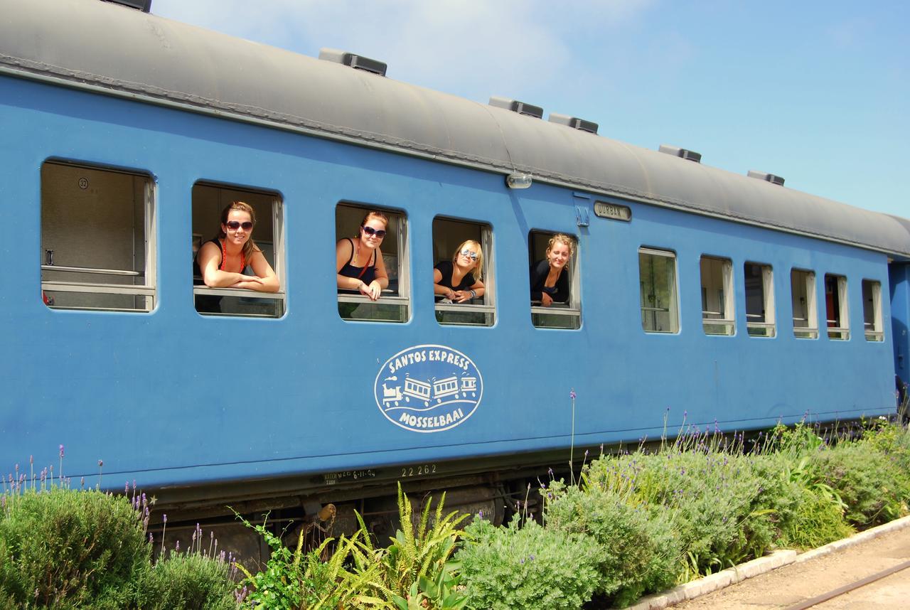 Hostel Santos Express Mossel Bay Exterior foto
